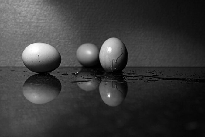 Dedicaces Zoeufs Renouveau Dédicace Dali - Z'oeufs - renouveau