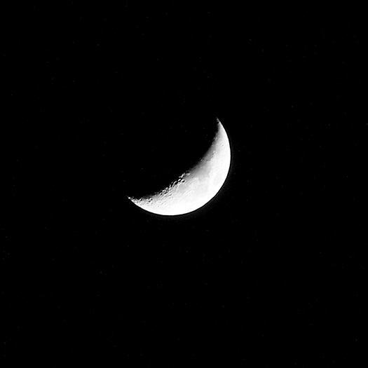 Dedicaces Lires de Lune Lune Des lires de lune - Lune