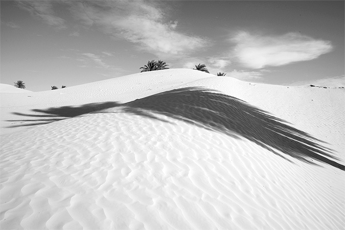 03-Deserts-paysage-Aigle-noir