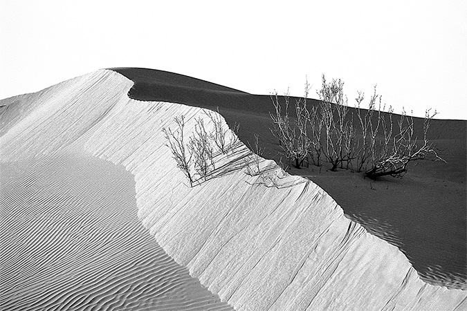 05-Deserts-paysage-Epure 05-Deserts-paysage-Epure