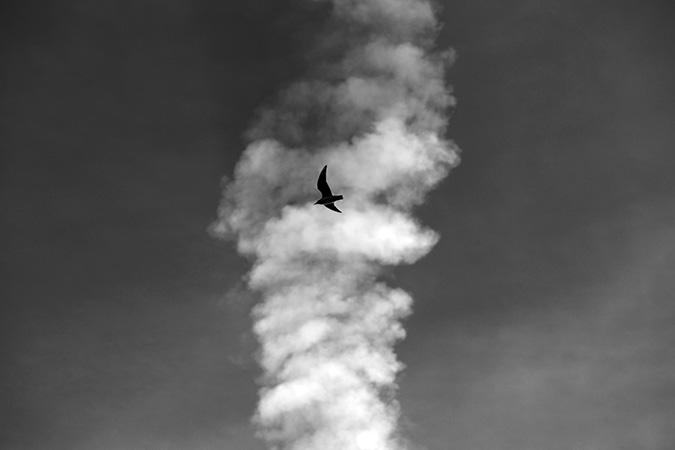 Tete en l air Piterak Tête en l'air - vent et nuage - Piterak