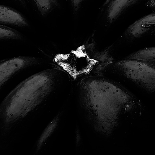 Dedicaces Potager du Roi Toupie Potager du Roi - Toupie - potimarron