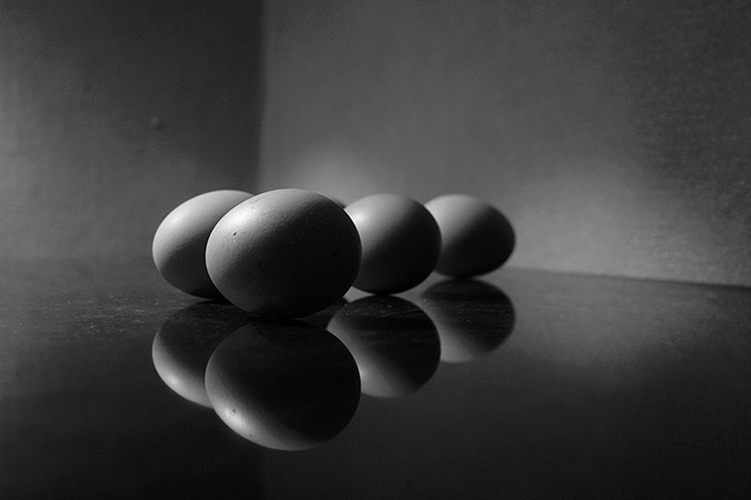 Dedicaces Zoeufs En boite Dédicace Dali - Z'oeufs - en boîte