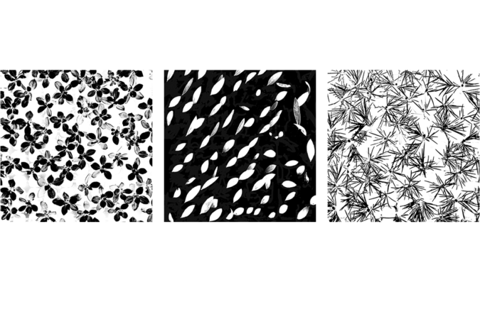 Jardin Secret Pepinieres Jardin secret – plante sauvage graphique – pépinières