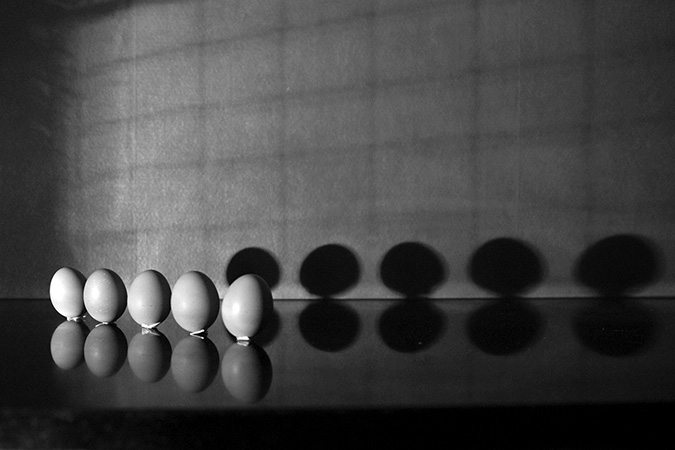 Dedicaces Zoeufs En cage Dédicace Dali - Z'oeufs - en cage