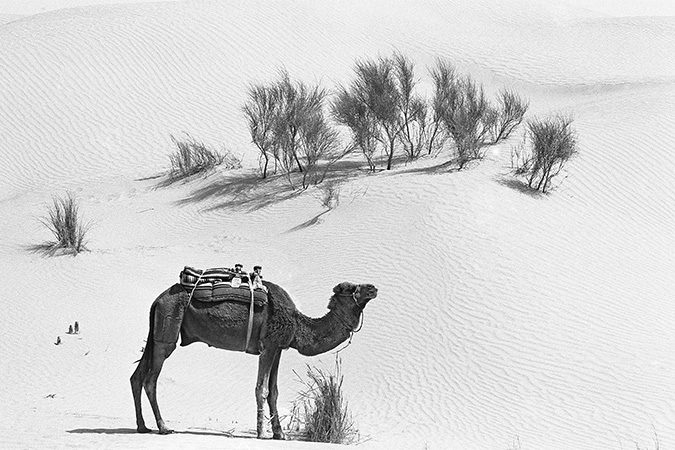 08-Deserts-rencontre-Repos 08-Deserts-rencontre-Repos