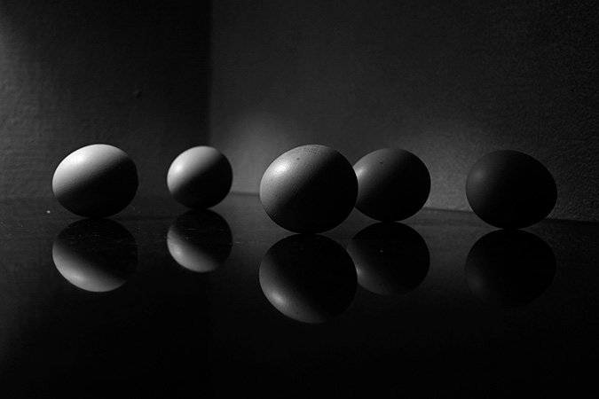 Dedicaces Zoeufs Bowling Dédicace Dali - Z'oeufs - bowling