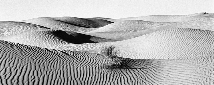 12-Deserts-rencontre-Temoignage 12-Deserts-rencontre-Temoignage