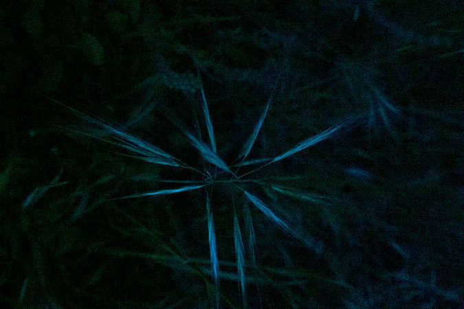 14-Les-Couleurs-de-la-nuit 14-Les-Couleurs-de-la-nuit