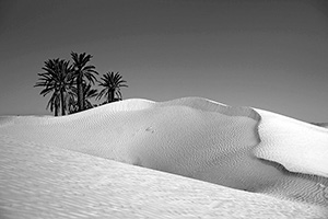 Repertoire-Deserts-Paysage