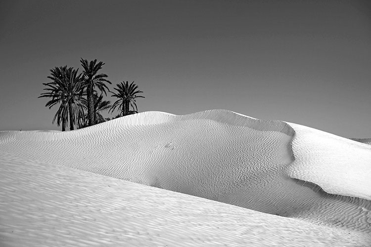 Titre-Coll-Deserts-Paysage