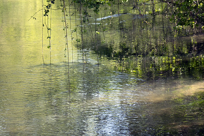 08_Calonne_Jardin 08_Calonne_Jardin