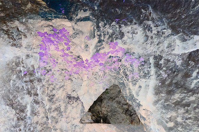 Feerique05